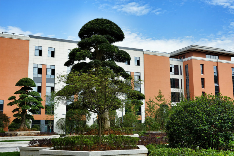 1559618532191388GPUO.jpg 7.jpg