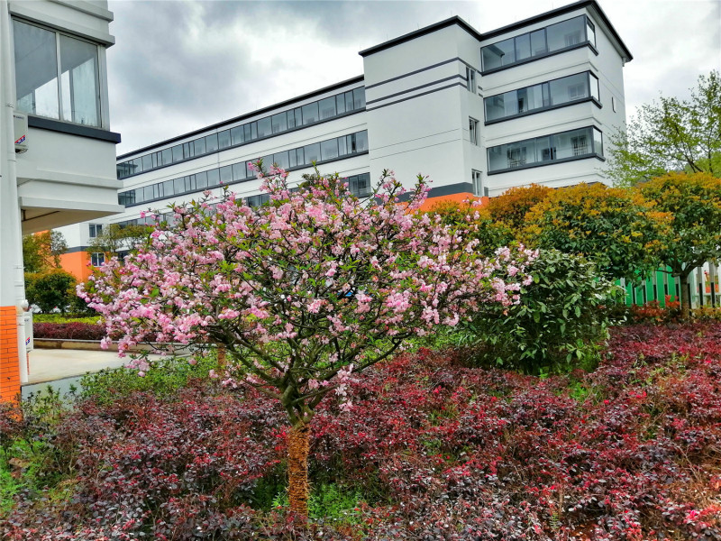 1559618541730961UOGv.jpg 8.jpg