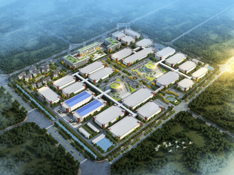 1583195650526028cL6Z.jpg 800.jpg